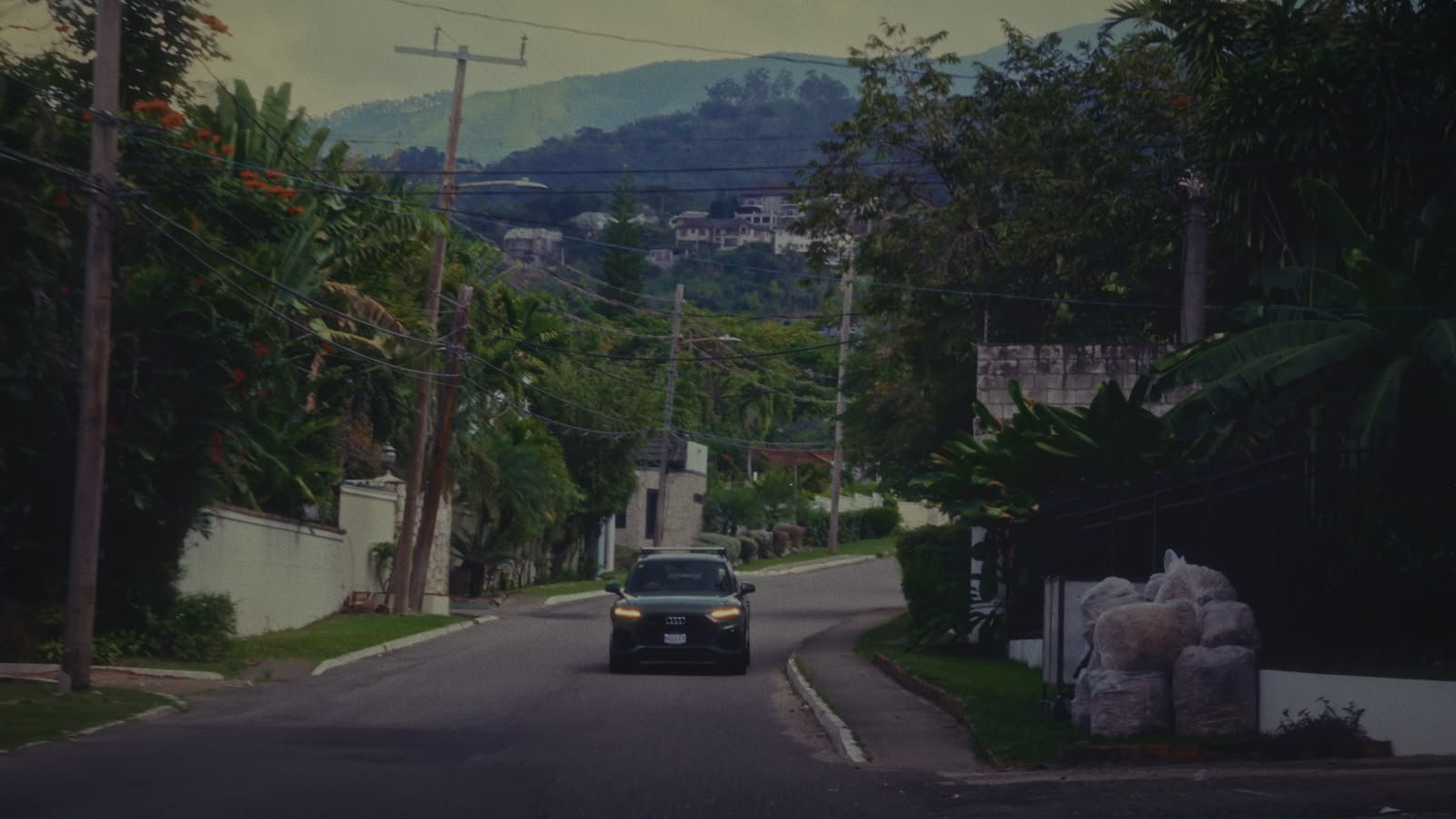 A car drives down a tree-lined Kingston street below the Blue Mountains — cinematography by George Malcolm Walker