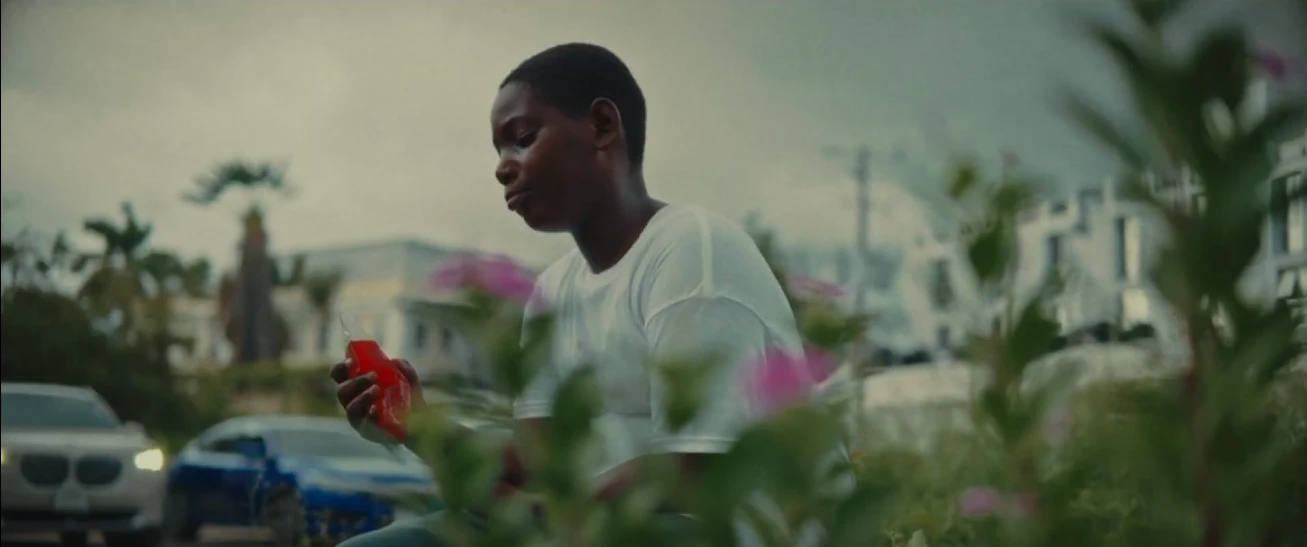 A boy sits among pink flowers holding a red juice box in LICK, a poetic documentary by George Malcolm Walker